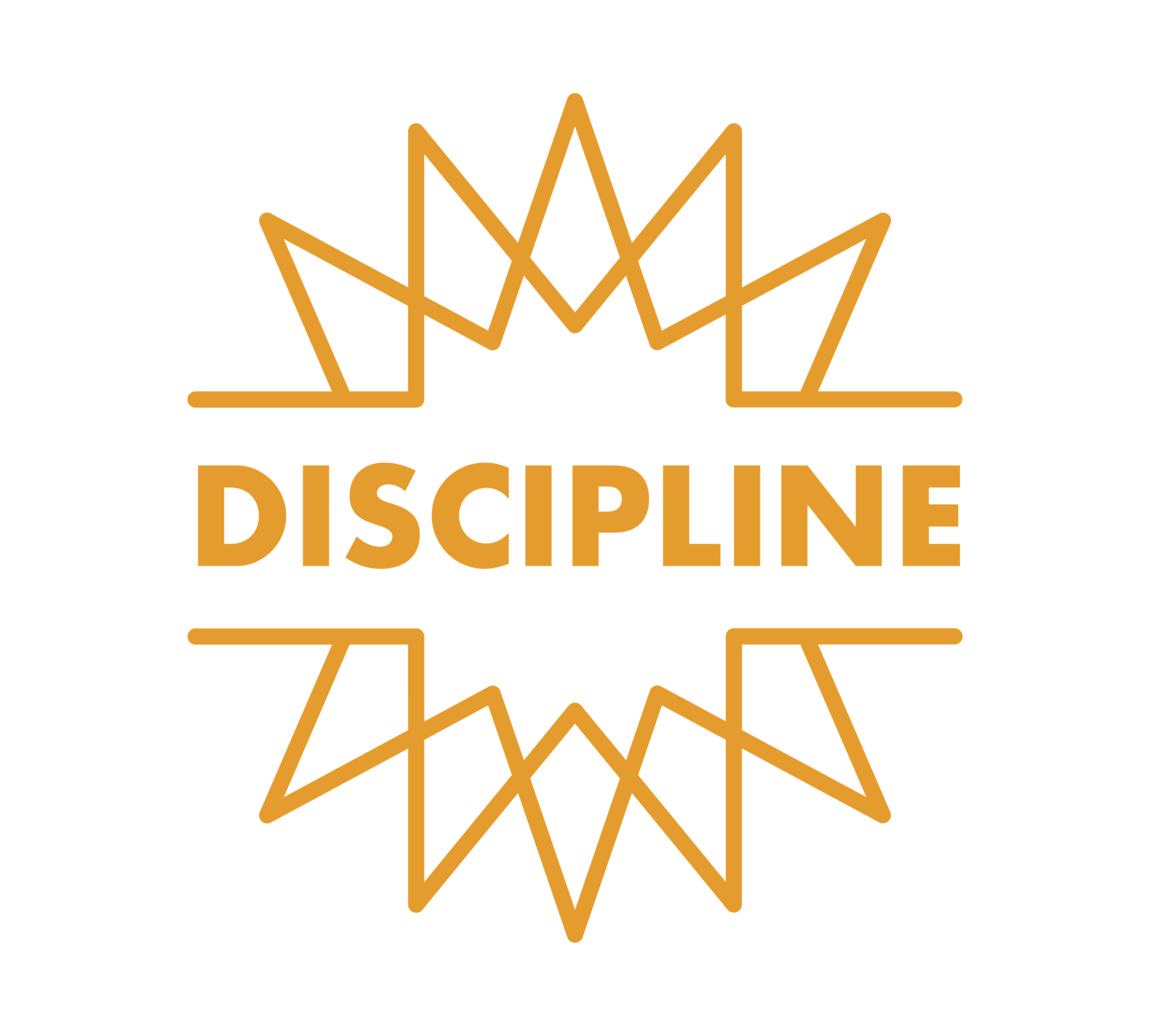 Impact Value Discipline Photo